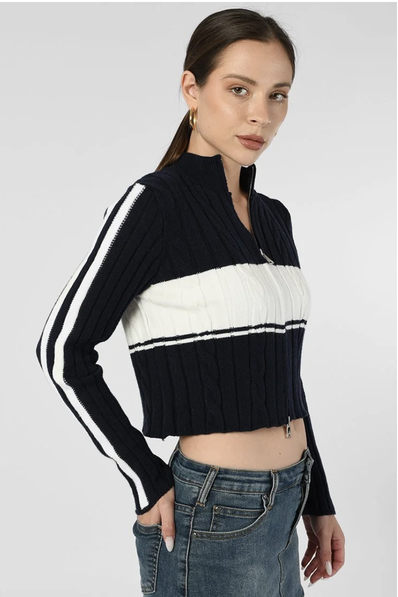 STRIPE ZIP UP KNIT CARDIGAN – FTC doublet 21aw ZIP UP STRIPE CARDIGAN